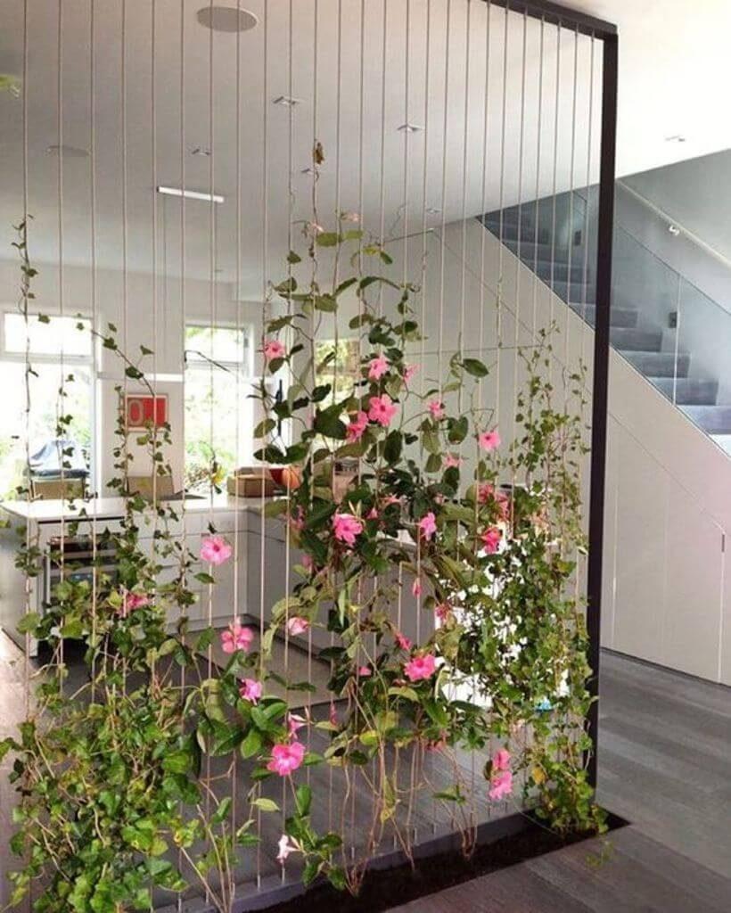 O jardim vertical como divisor de ambientes: uma treliça montada do chão até o teto dá o caminho para as trepadeiras crescerem. Via: Pinterest.